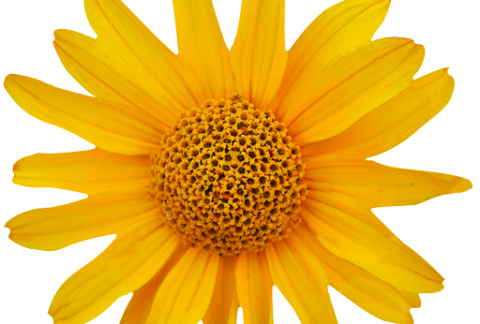 Masáž „na míru”